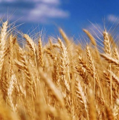 №28, Рома Дёмин, Кропивницкий / Кировоград №28, Рома Дёмин, Кропивницкий / Кировоград