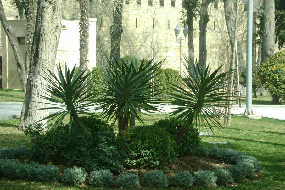 №66, Наташа Кузнецова, 38 лет, Sydney №66, Наташа Кузнецова, 38 лет, Sydney