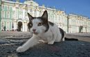 №3 Алёна Широкова 05.05.1993: профиль, фото, статус - ВКонтакте