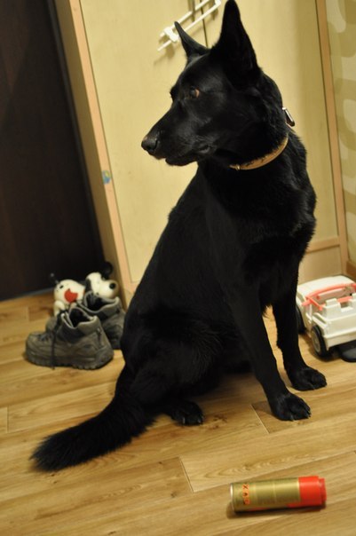 №13, Юля Кобылинская, 53 года, Санкт-Петербург №13, Юля Кобылинская, 53 года, Санкт-Петербург