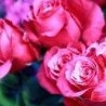 №36, Олеся Мелешко, 34 года, Дмитров №36, Олеся Мелешко, 34 года, Дмитров