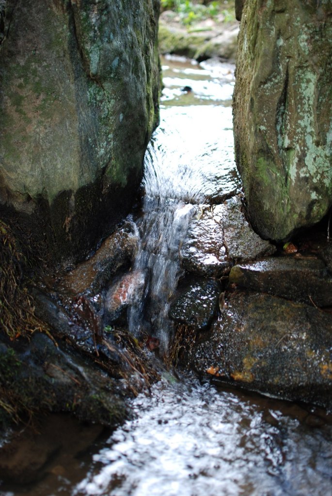 Ольга Роганова | Myrtle Beach