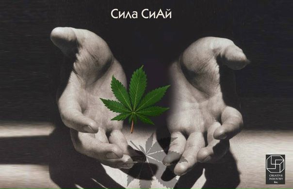Макс Кононов фото профиля #3