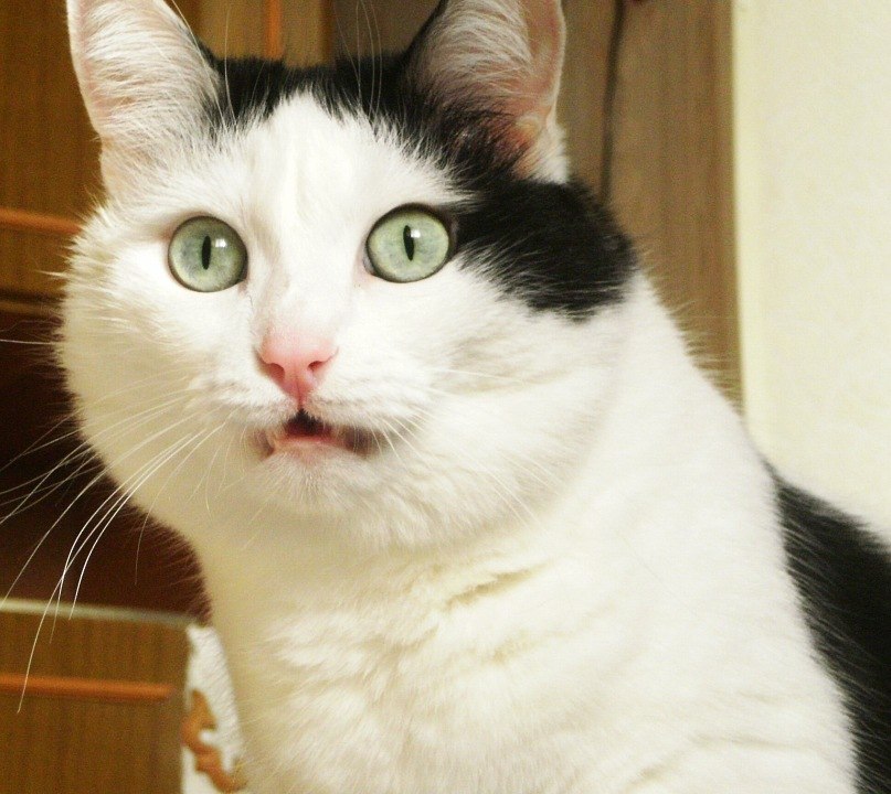 Дмитрий Семенов | Краснодар