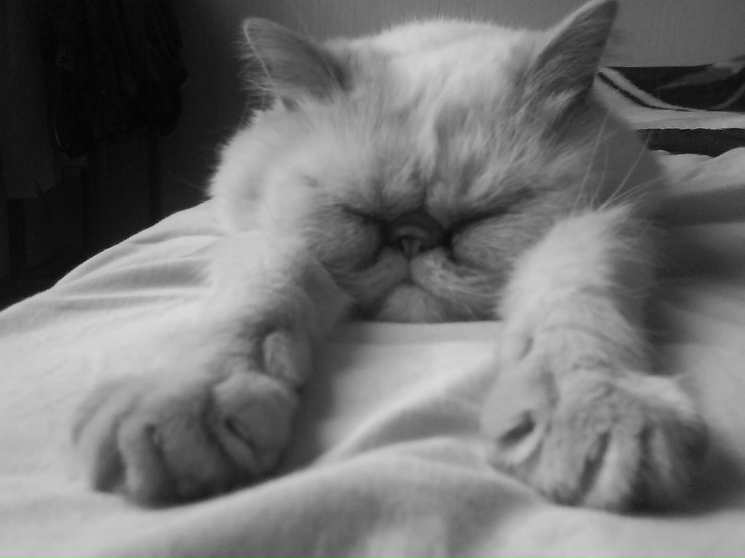 Елизавета Гукова | Екатеринбург