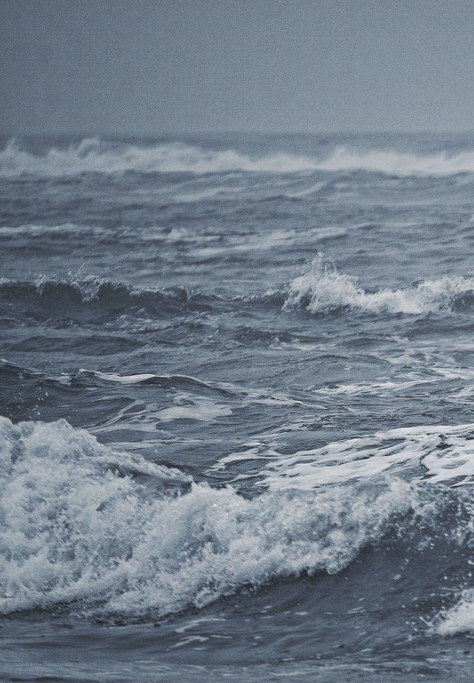 Аня Кашина | New York City