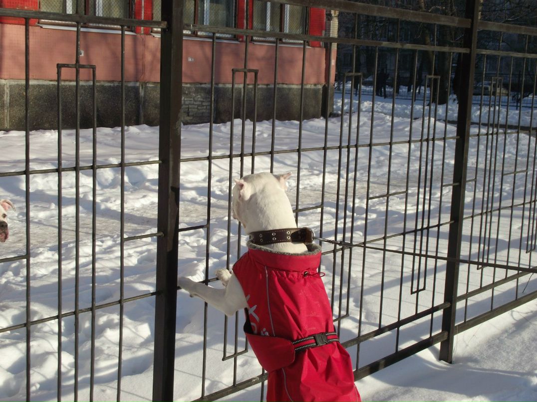 Дмитрий Сметанкин | Санкт-Петербург