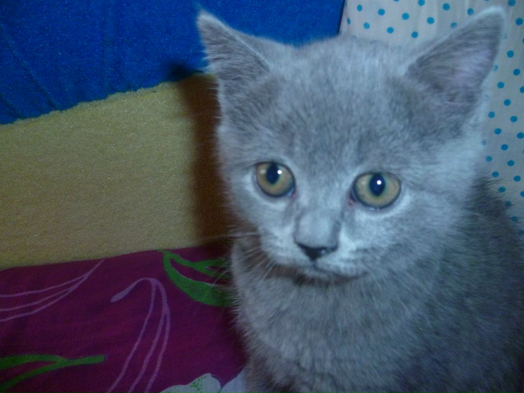 Катя Федотова | Лысьва