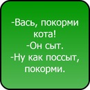 №22 Света Березан : профиль, фото, статус - ВКонтакте