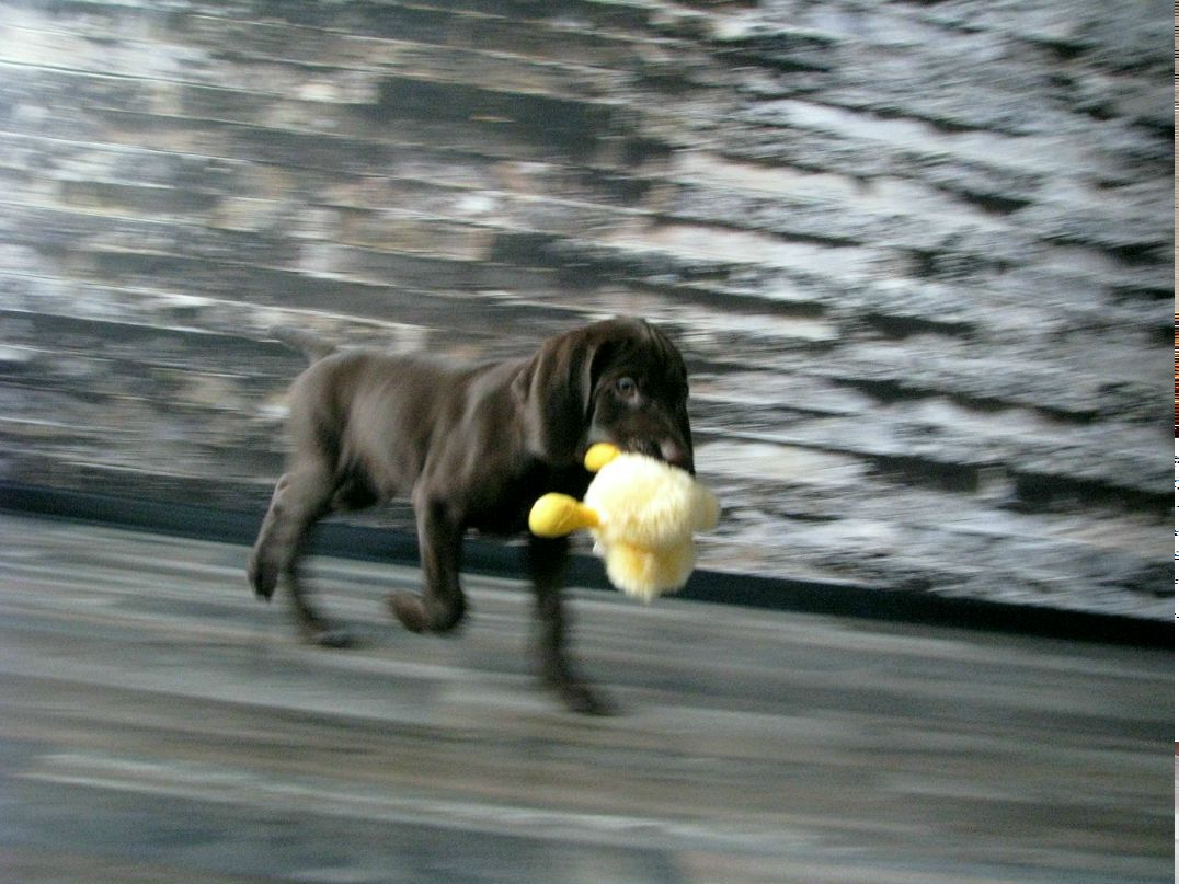 Роман Егоров | Калининград