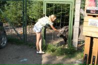 №2 Виола Симонова : профиль, фото, статус - ВКонтакте №2 Виола Симонова : профиль, фото, статус - ВКонтакте