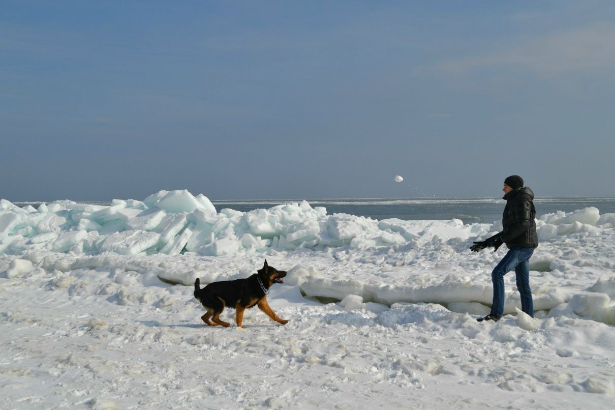 Владимир Киселькевич | Киев
