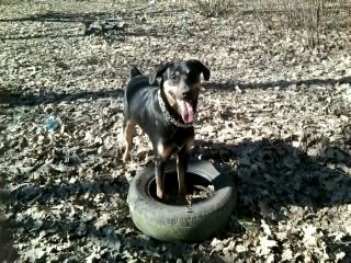Мария Адаховская ❤❤❤❤ | Николаев