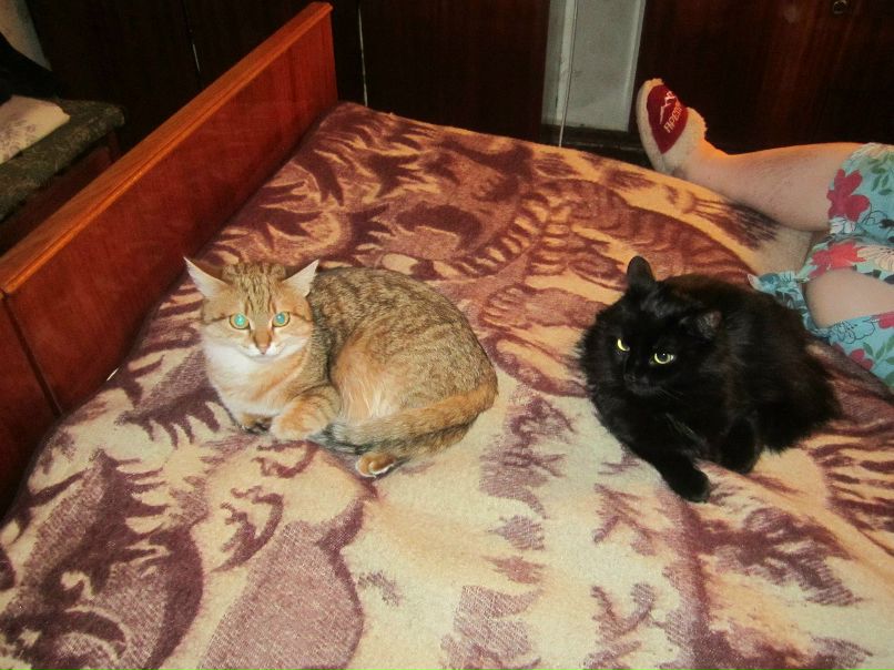 Таня Забарова | Киев