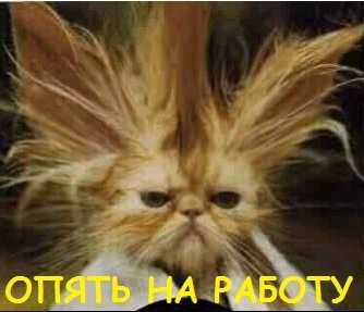 №67, Анна Князева, Вологда №67, Анна Князева, Вологда