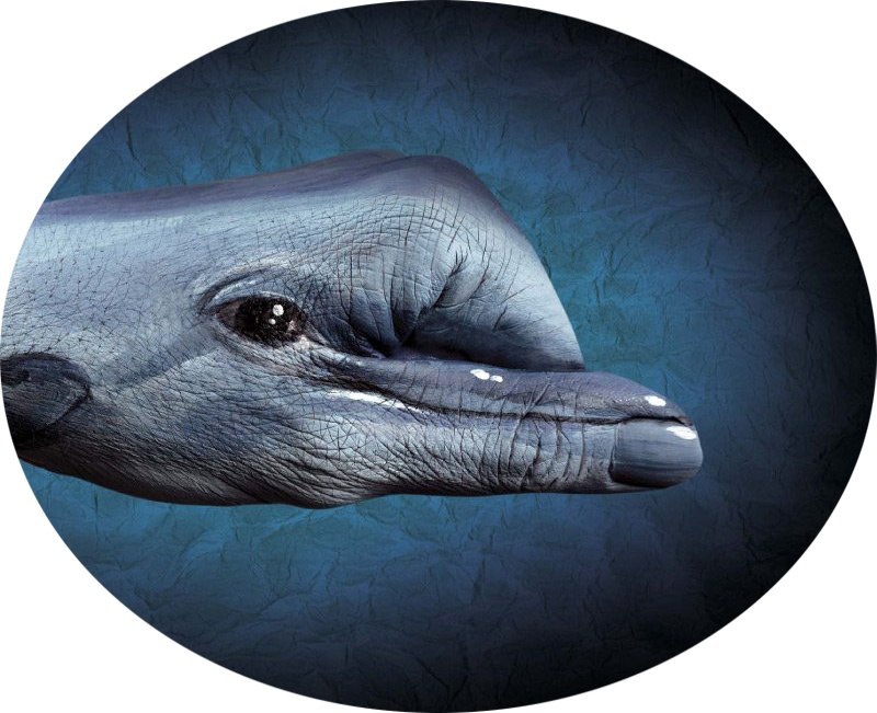 Михаил Виноградов | Санкт-Петербург