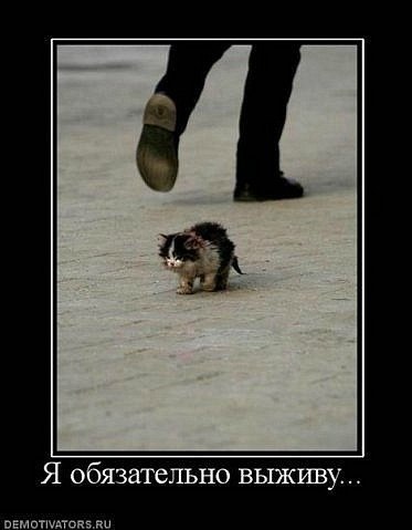 Аллчёна Семёнова | Москва