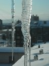№31 Олег Витченов 01.04: профиль, фото, статус - ВКонтакте