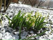 №22 Виктор Вялов 11.10.1984: профиль, фото, статус - ВКонтакте
