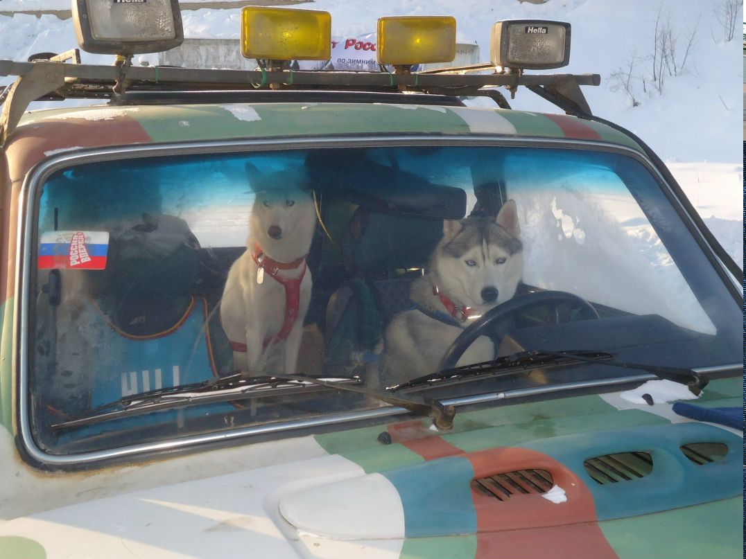 Любовь Кучерова | Санкт-Петербург