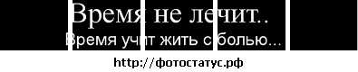 №81, Кирилл Кондрашов, Суворов №81, Кирилл Кондрашов, Суворов