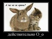 №18 Алексей Тоябин 13.06.1988: профиль, фото, статус - ВКонтакте