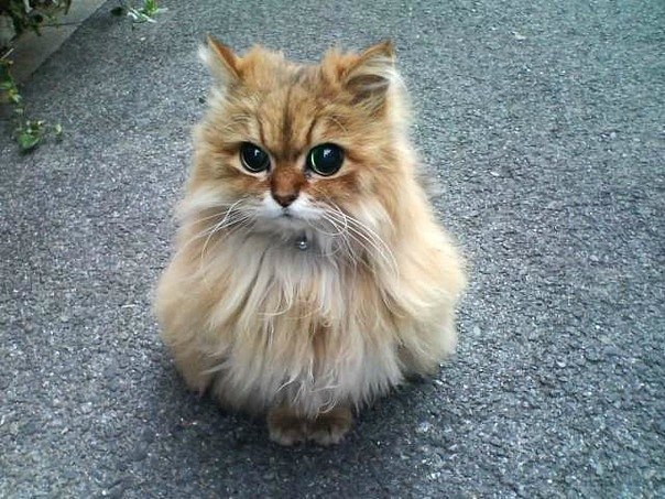 Kristinka Savlepova ツVyacheslavovna | Киев