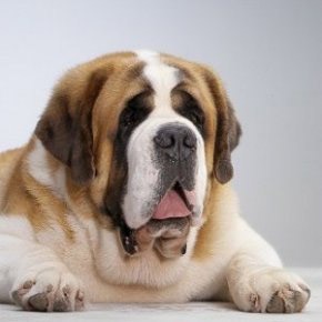 №56, Rasim Катляров, Бахчисарай №56, Rasim Катляров, Бахчисарай