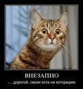 №21 Лейла Мамедова 16.04.1994: профиль, фото, статус - ВКонтакте