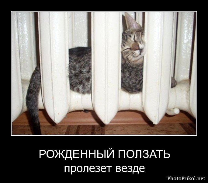 Виктор Свентицкий MrAnger | Минск