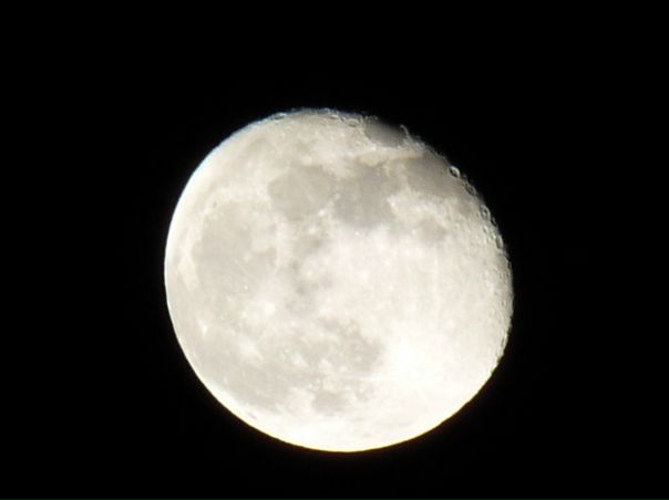 №25, Виктория Машаева №25, Виктория Машаева