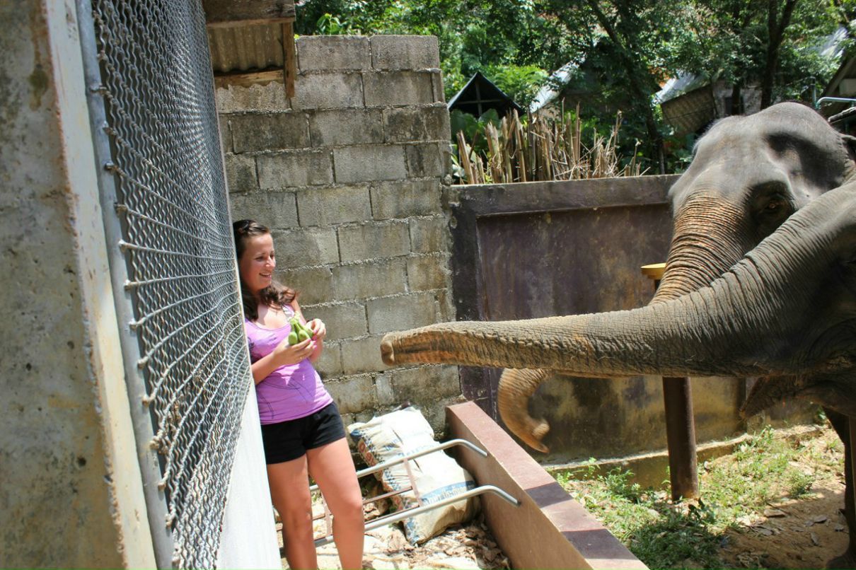 Анна Шугаева | Санкт-Петербург