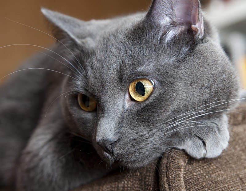 Ольга Подрез | Запорожье