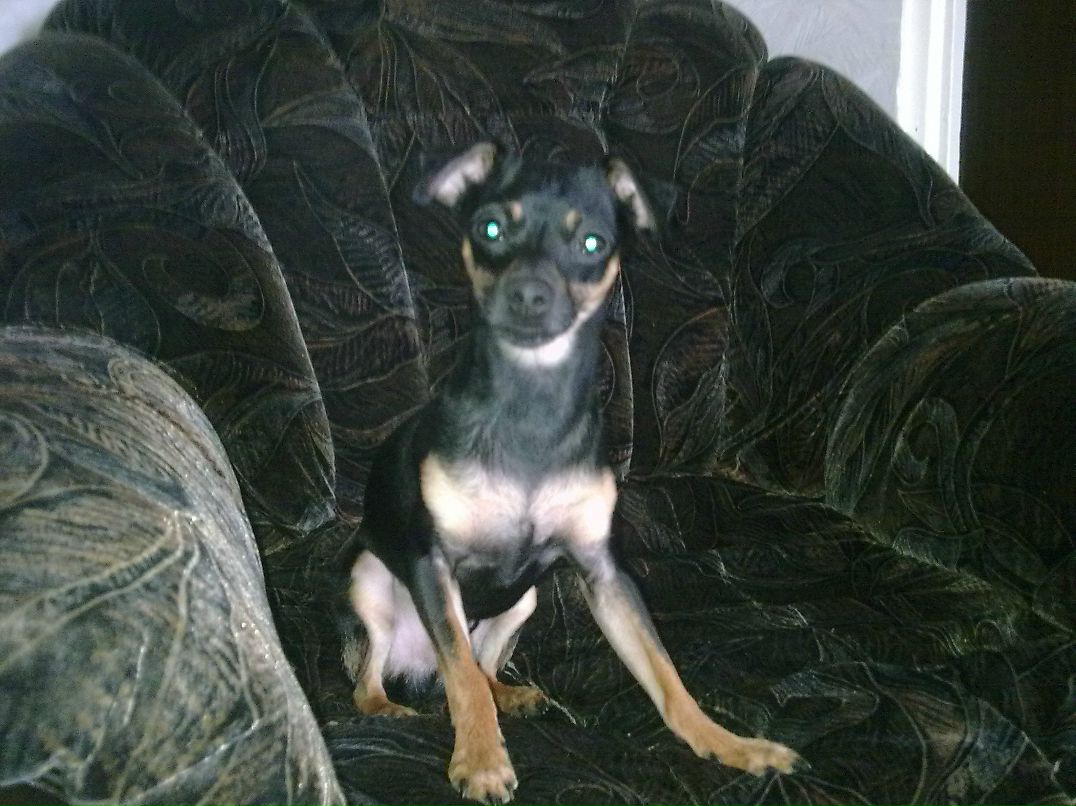 Олег Александрович | 