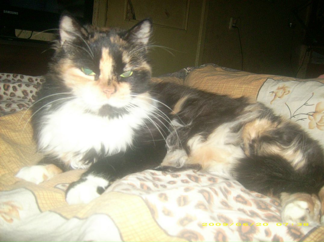 Марина Лысак | Санкт-Петербург