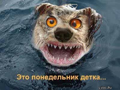 №22, Андрей Николенко, Крым №22, Андрей Николенко, Крым