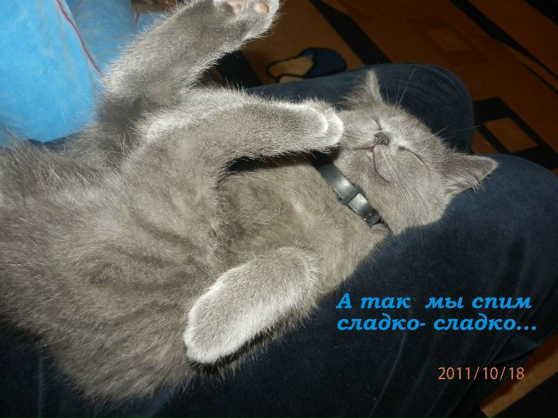 Лариса Ищенко | Киев