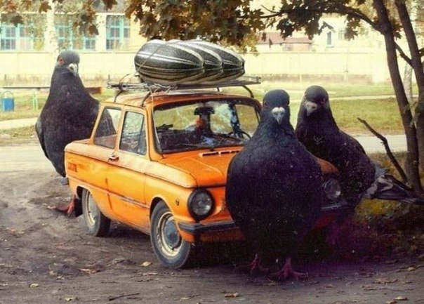 Бахххнуть Ракша | Харьков