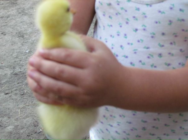 №4, Анастасия Митрофанова №4, Анастасия Митрофанова