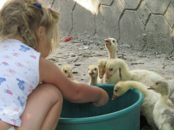 №9, Анастасия Митрофанова №9, Анастасия Митрофанова