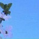 Гузель Замалиева | Заинск