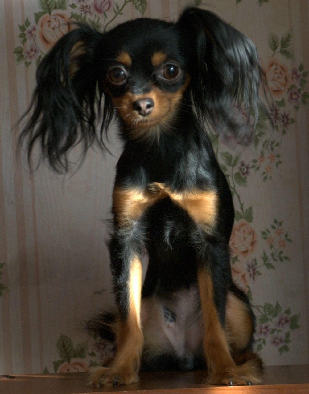 Андрей Макаров | Москва