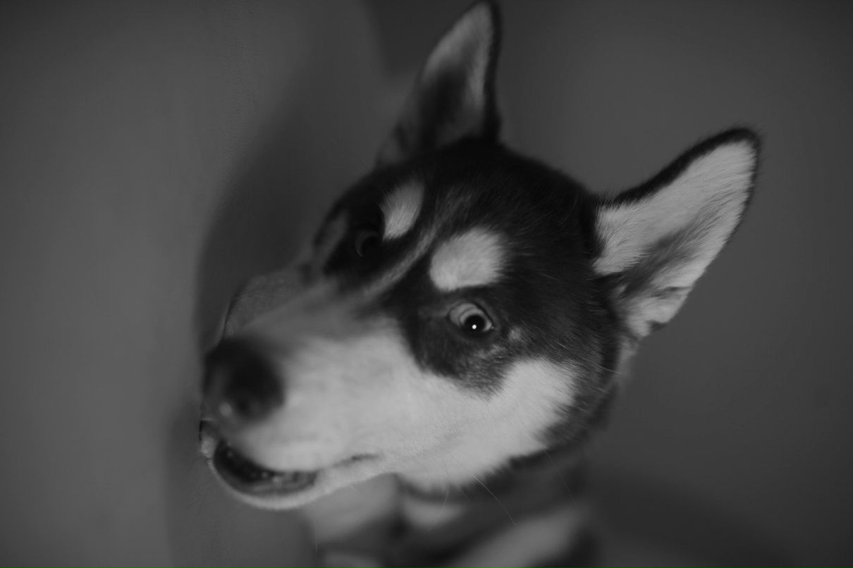 Сергей Фарятьев | Москва