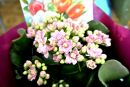 №40 Александра Огнева 25.03.1995: профиль, фото, статус - ВКонтакте