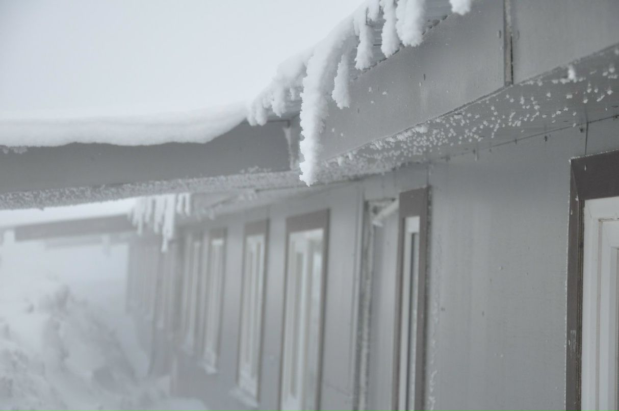 Ксения Кваша | Симферополь