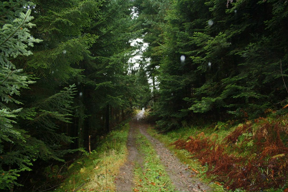 Наташа Малеева | Москва