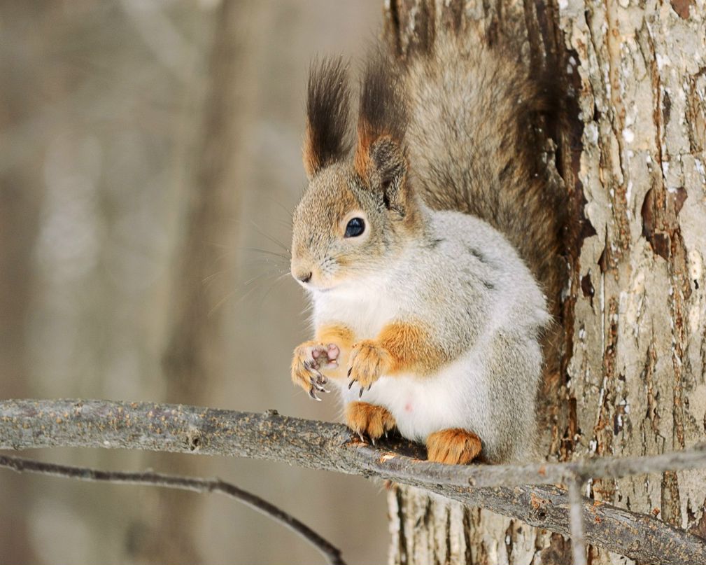 Александр Баринов | Новочебоксарск