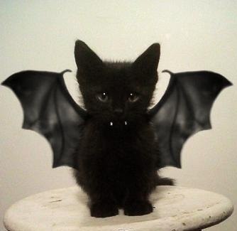 Любовь Щаева | Москва