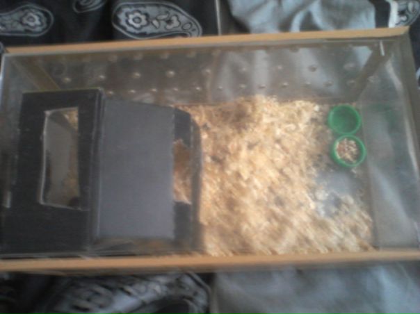 №3, Настя Брылина, Ульяновск №3, Настя Брылина, Ульяновск