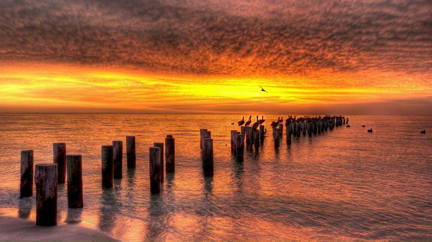 Kingofm Kingofm | Краснодар